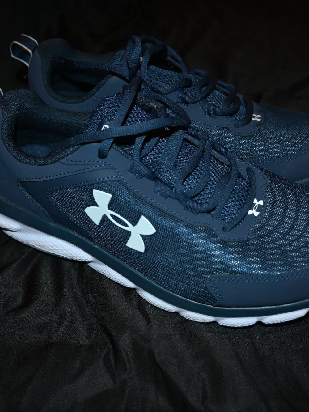 Mens Underarmor Charged Assert Shoes